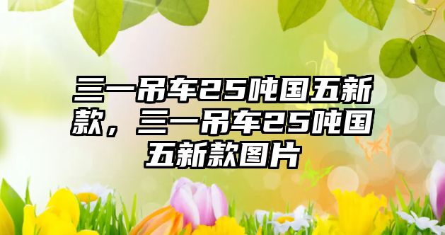 三一吊車25噸國(guó)五新款，三一吊車25噸國(guó)五新款圖片