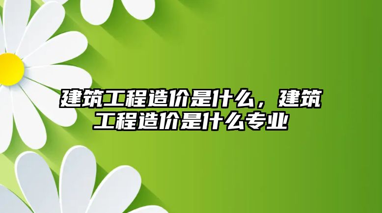 建筑工程造價(jià)是什么，建筑工程造價(jià)是什么專業(yè)