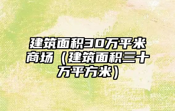 建筑面積30萬平米商場（建筑面積三十萬平方米）