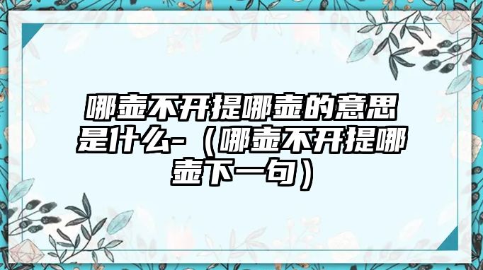 哪壺不開提哪壺的意思是什么-（哪壺不開提哪壺下一句）