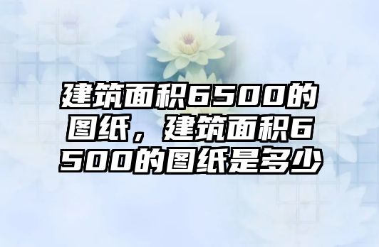 建筑面積6500的圖紙，建筑面積6500的圖紙是多少