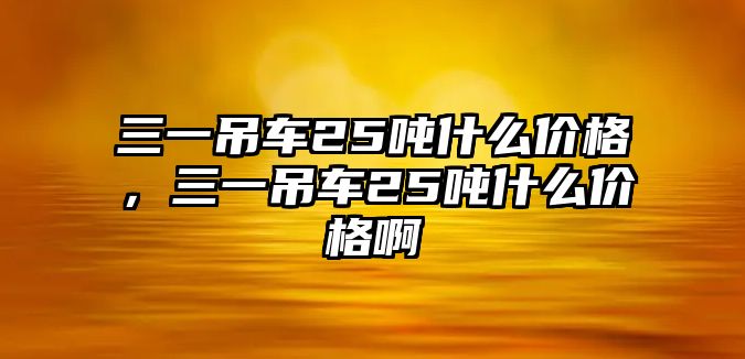 三一吊車25噸什么價格，三一吊車25噸什么價格啊