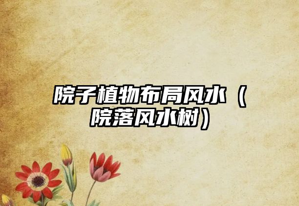 院子植物布局風(fēng)水（院落風(fēng)水樹(shù)）