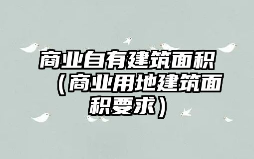 商業(yè)自有建筑面積（商業(yè)用地建筑面積要求）