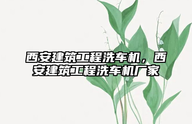 西安建筑工程洗車機，西安建筑工程洗車機廠家