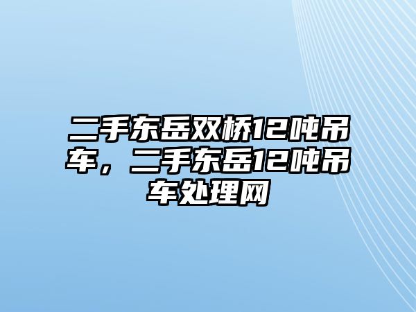 二手東岳雙橋12噸吊車，二手東岳12噸吊車處理網(wǎng)