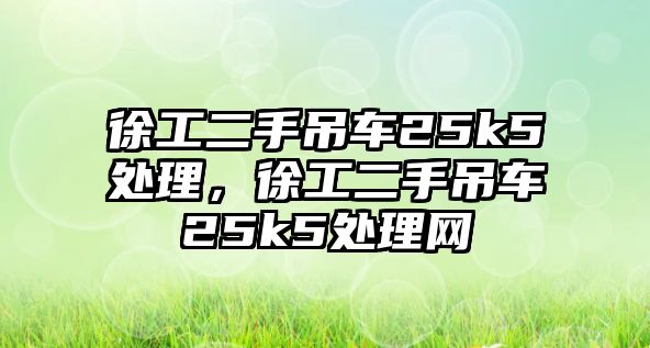 徐工二手吊車(chē)25k5處理，徐工二手吊車(chē)25k5處理網(wǎng)