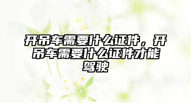 開吊車需要什么證件，開吊車需要什么證件才能駕駛