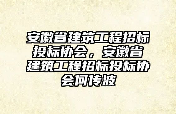 安徽省建筑工程招標(biāo)投標(biāo)協(xié)會(huì)，安徽省建筑工程招標(biāo)投標(biāo)協(xié)會(huì)何傳波