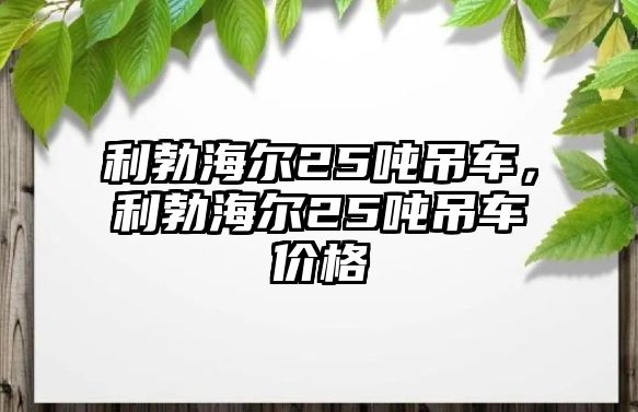 利勃海爾25噸吊車，利勃海爾25噸吊車價格