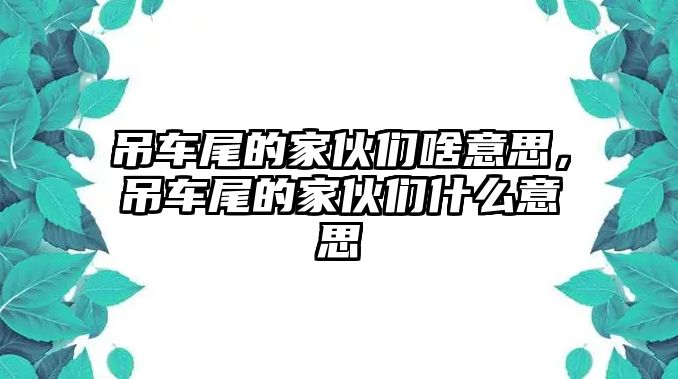 吊車尾的家伙們啥意思，吊車尾的家伙們什么意思