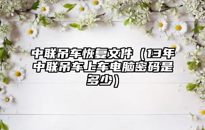 中聯(lián)吊車(chē)恢復(fù)文件（13年中聯(lián)吊車(chē)上車(chē)電腦密碼是多少）