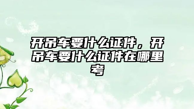 開吊車要什么證件，開吊車要什么證件在哪里考