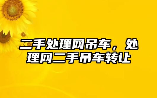 二手處理網(wǎng)吊車，處理網(wǎng)二手吊車轉讓