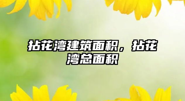 拈花灣建筑面積，拈花灣總面積