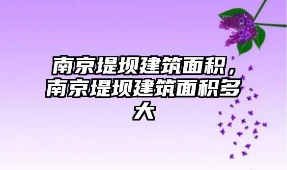 南京堤壩建筑面積，南京堤壩建筑面積多大