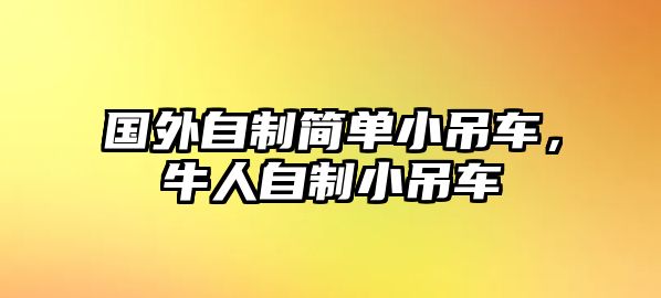 國外自制簡單小吊車，牛人自制小吊車