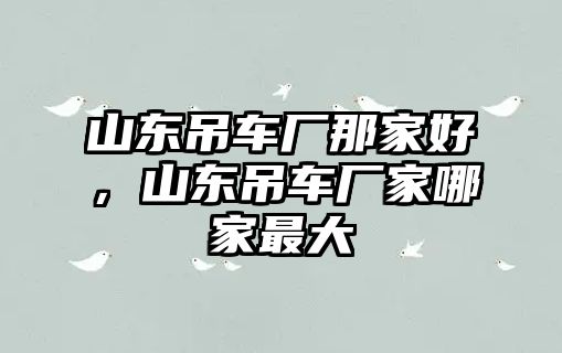 山東吊車廠那家好，山東吊車廠家哪家最大