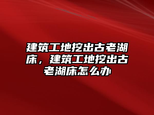 建筑工地挖出古老湖床，建筑工地挖出古老湖床怎么辦