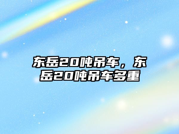 東岳20噸吊車，東岳20噸吊車多重