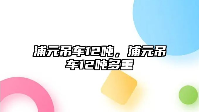 浦元吊車12噸，浦元吊車12噸多重