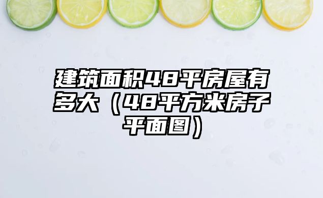 建筑面積48平房屋有多大（48平方米房子平面圖）