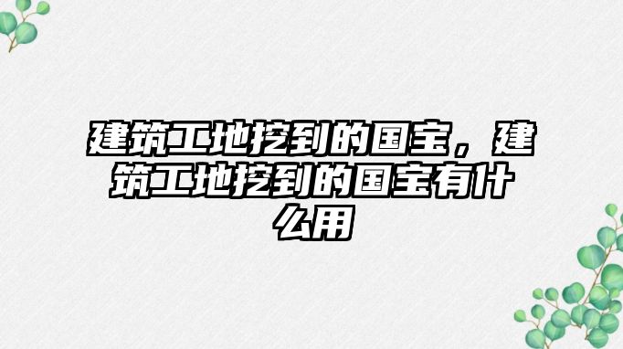 建筑工地挖到的國(guó)寶，建筑工地挖到的國(guó)寶有什么用