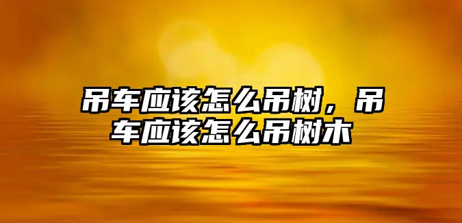 吊車應(yīng)該怎么吊樹，吊車應(yīng)該怎么吊樹木