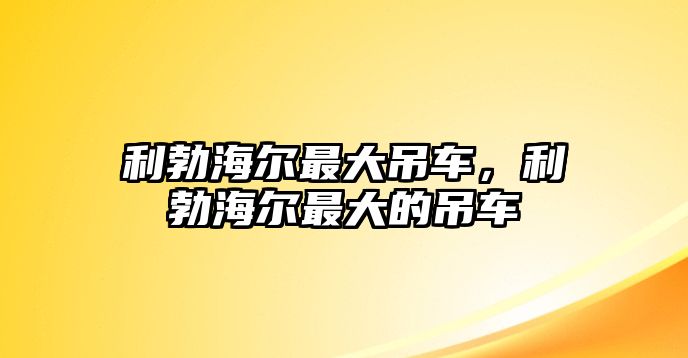 利勃海爾最大吊車，利勃海爾最大的吊車