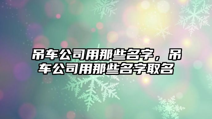 吊車公司用那些名字，吊車公司用那些名字取名