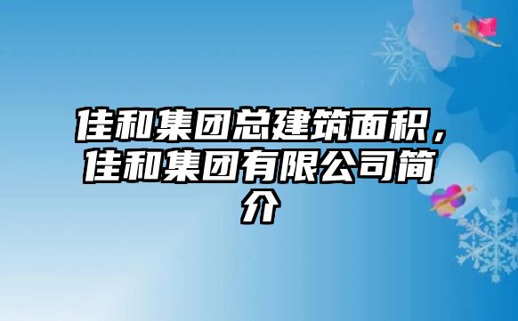 佳和集團總建筑面積，佳和集團有限公司簡介