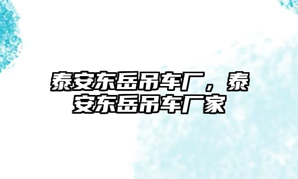 泰安東岳吊車廠，泰安東岳吊車廠家