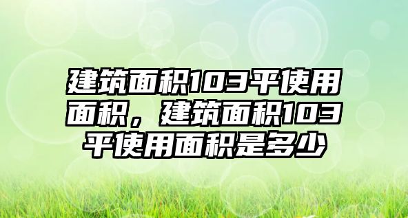 建筑面積103平使用面積，建筑面積103平使用面積是多少