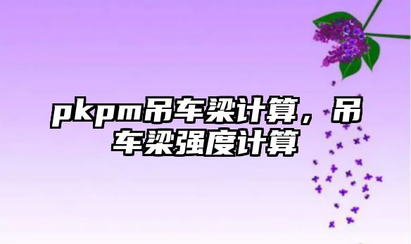 pkpm吊車梁計算，吊車梁強度計算