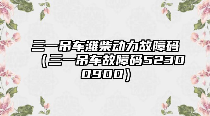 三一吊車濰柴動(dòng)力故障碼（三一吊車故障碼52300900）