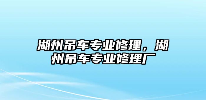 湖州吊車專業(yè)修理，湖州吊車專業(yè)修理廠