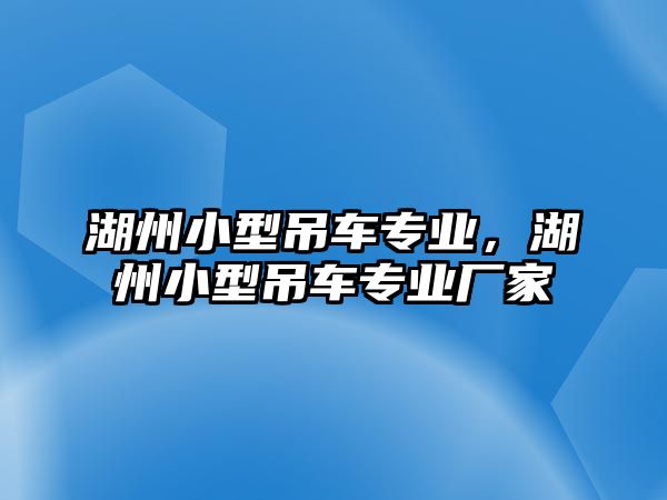 湖州小型吊車專業(yè)，湖州小型吊車專業(yè)廠家