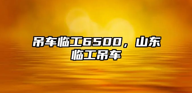 吊車臨工6500，山東臨工吊車