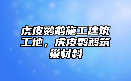 虎皮鸚鵡施工建筑工地，虎皮鸚鵡筑巢材料