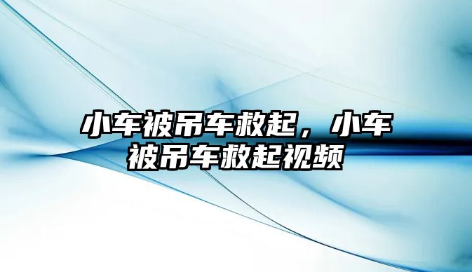 小車被吊車救起，小車被吊車救起視頻