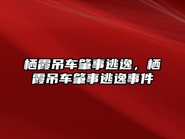 棲霞吊車肇事逃逸，棲霞吊車肇事逃逸事件