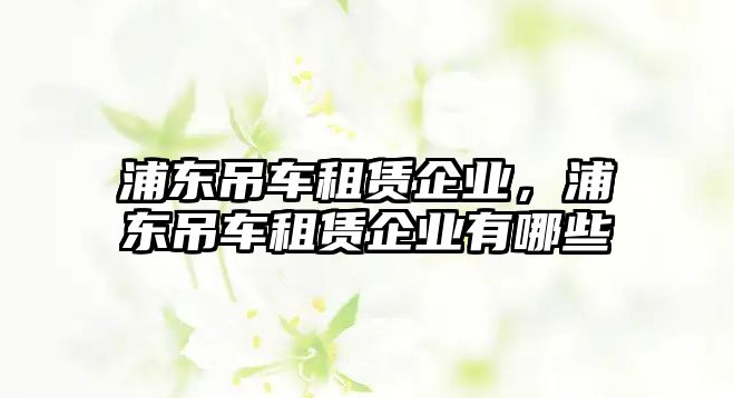 浦東吊車租賃企業(yè)，浦東吊車租賃企業(yè)有哪些