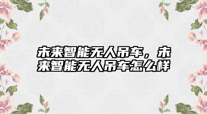 未來智能無人吊車，未來智能無人吊車怎么樣