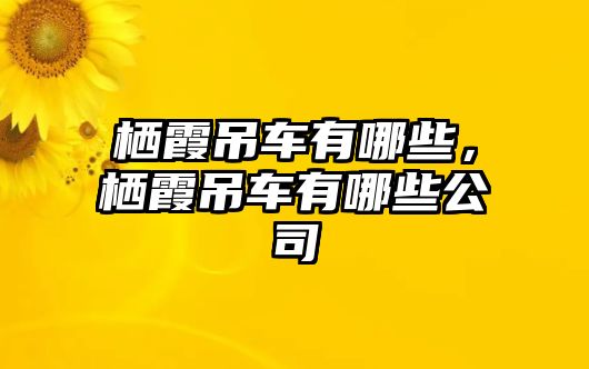 棲霞吊車有哪些，棲霞吊車有哪些公司