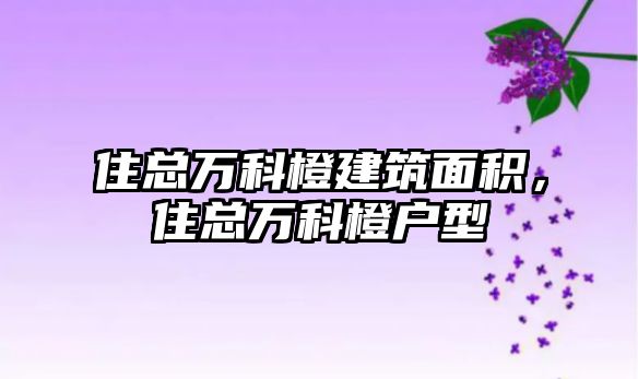 住總?cè)f科橙建筑面積，住總?cè)f科橙戶型