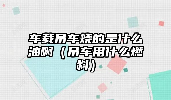 車載吊車燒的是什么油?。ǖ踯囉檬裁慈剂希? class=