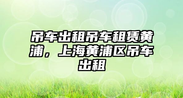 吊車出租吊車租賃黃浦，上海黃浦區(qū)吊車出租