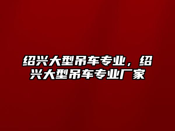 紹興大型吊車專業(yè)，紹興大型吊車專業(yè)廠家