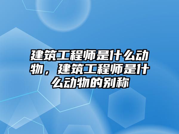 建筑工程師是什么動物，建筑工程師是什么動物的別稱