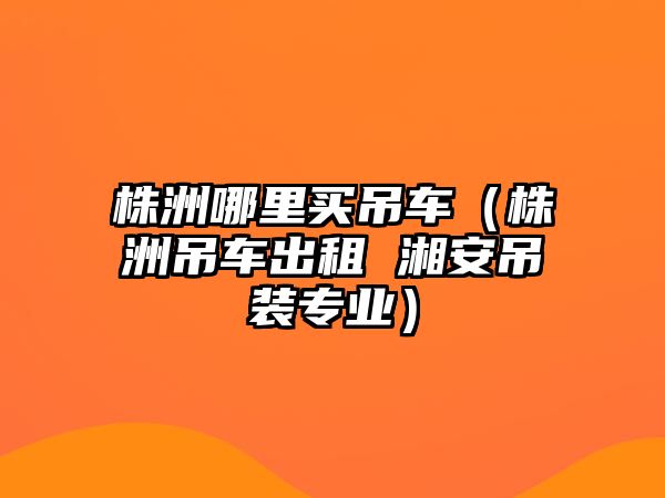 株洲哪里買吊車（株洲吊車出租 湘安吊裝專業(yè)）